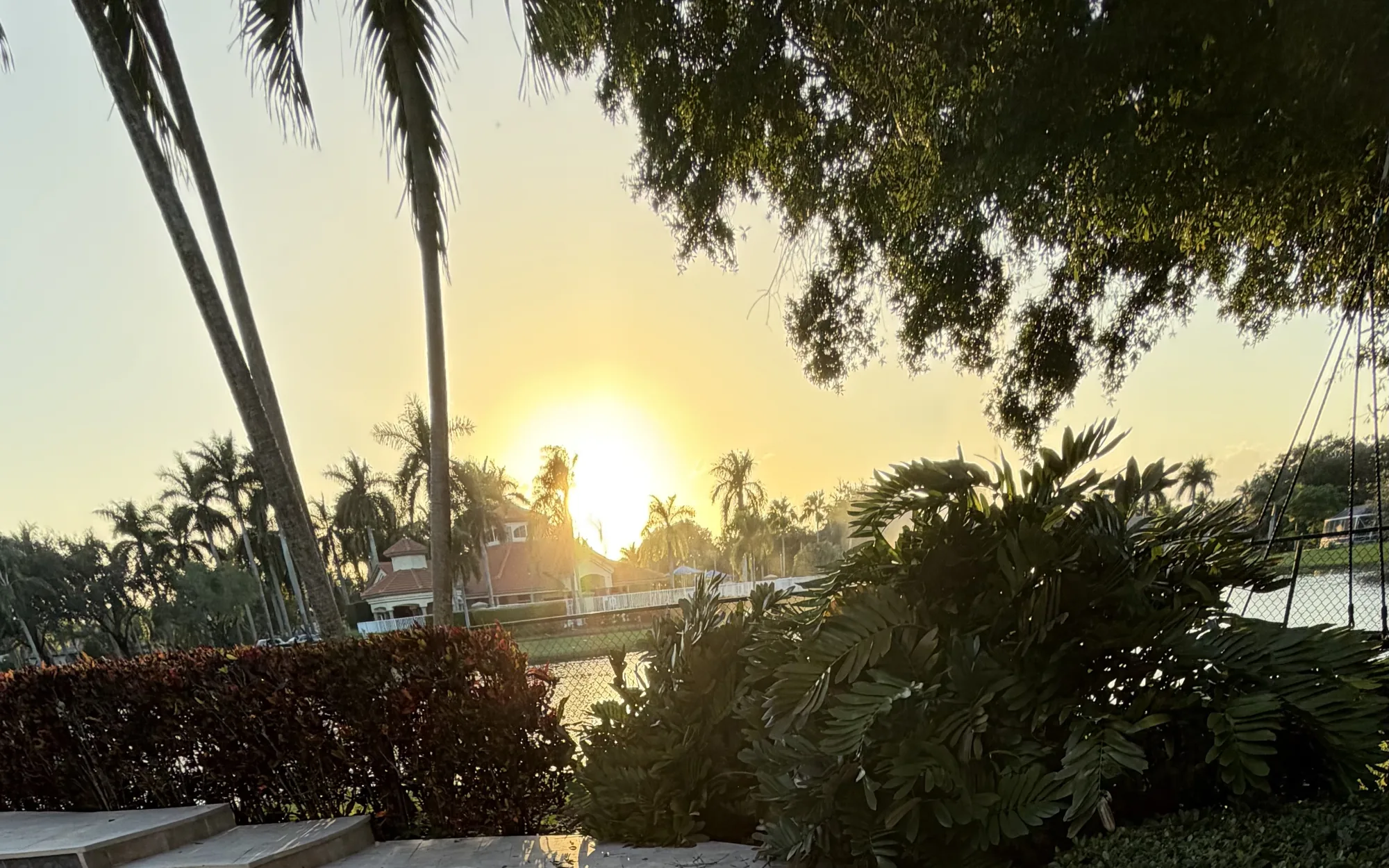 The sun setting behind palms over a backyard pool